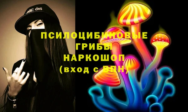 ECSTASY Инта