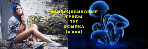 марки nbome Инсар