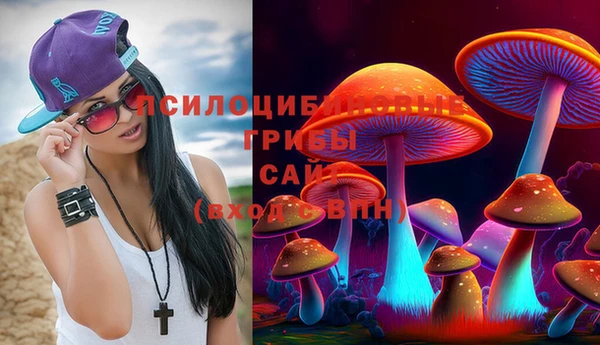 соль курить ск Иннополис